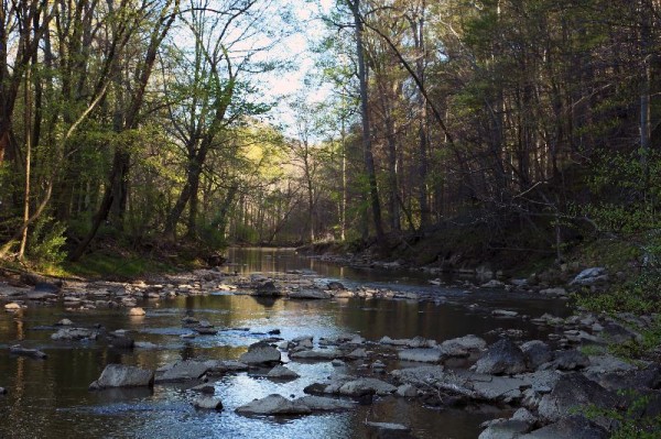 Lake Accotink Park